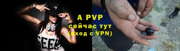 амф Зеленокумск