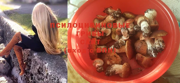амф Зеленокумск