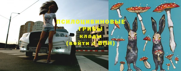 дживик Инсар
