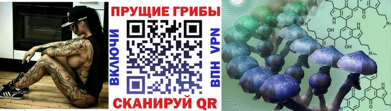 Галлюциногенные грибы Magic Shrooms Тейково