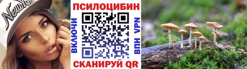 Псилоцибиновые грибы GOLDEN TEACHER  Купить где  Тейково 